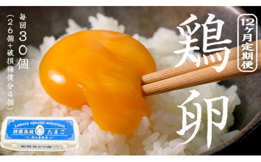 y錧㒬z{ 30 ( 26 + j⏞4 ) 12  ܂ ʎq ӂ邳Ɣ[ 84000~  12 錧 㒬 [CZ004ya]