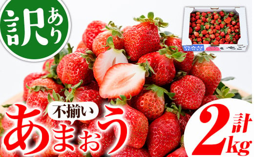 ＜訳あり・不揃い＞福岡県産いちご あまおう (計約2kg) 苺 フルーツ 果物 数量限定 期間限定 冷蔵  2キロ＜離島配送不可＞【ksg1380】【よっちゃんファーム】