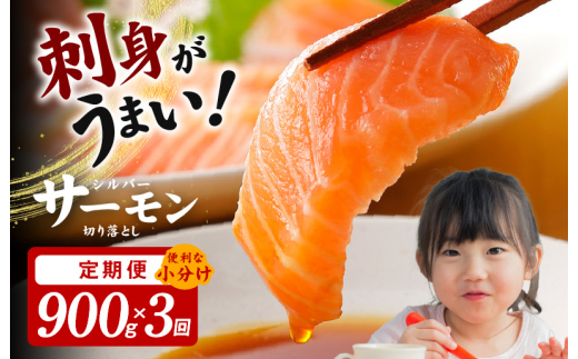 y{򍲖szT[ ؂藎Ƃ  900g×S3yz ֗ȏ 300g×3P 󂠂 TCYs  CN lC IXX  Ⓚ ȒP l炵 m①z