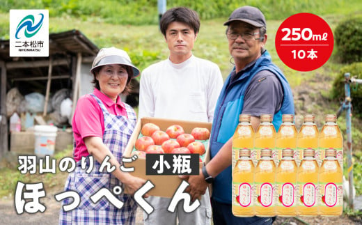 羽山のりんご ほっぺくん 小瓶（250ml）10本入り りんごジュース 果汁100％ 国産 ストレート アップル 無添加 リンゴジュース おすすめ  お中元 お歳暮 ギフト 二本松市 ふくしま 福島県 送料無料【羽山果樹組合】 - 福島県二本松市｜ふるさとチョイス - ふるさと納税サイト