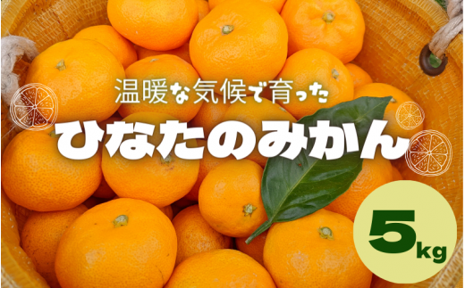 先行予約＞ひなたのみかん 5kg ※2024年12月頃に順次発送予定【期間限定