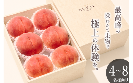桃蓮玉 甲州市産 大玉桃 6個入り 2.7kg以上 自然農法【2026年発送】（BNC）C5