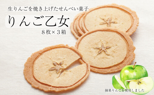MZ05-25D りんご乙女 8枚×3箱 // 長野県 南信州 りんごのお菓子 薄焼き