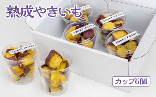 y򕌌Rszn₫ yJbv6z [No.542] ^ Ă LC XC[c 򕌌