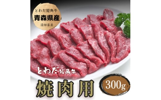 yX\acszƂ킾Zp@ēp300gy1465478z