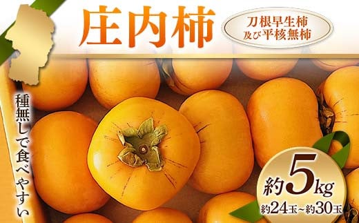 《先行予約 2024年度発送》庄内柿 種無しで食べやすい 刀根早生柿及び平核無柿 約5kg 約24玉～約30玉 柿 かき デザート フルーツ 果物  くだもの 果実 食品 山形県 FSY-1237 - 山形県｜ふるさとチョイス - ふるさと納税サイト