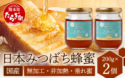 日本みつばち 蜂蜜「天使の宝」2個 セット 【 希少 ニホンミツバチ 100 