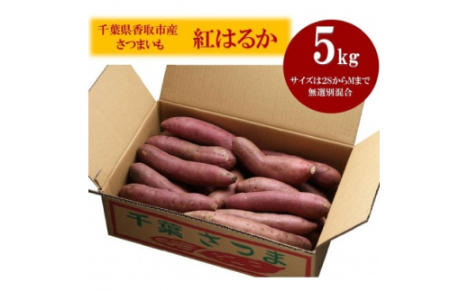 千葉県香取市産さつまいも 無選別紅はるか 5キロ(2S～M)【1450960