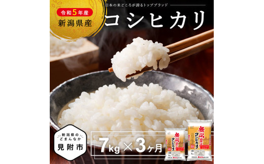 ≪定期便≫令和5年産 新潟県産 コシヒカリ 3ヶ月 連続×7kg( 5kg 袋+2kg