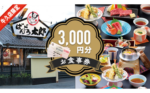 ダイナック 食事券 26,400円分 珍しく