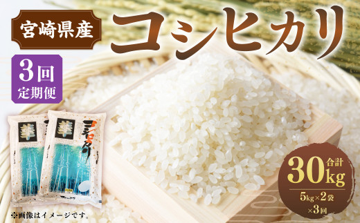 ふるさと納税 お米 定期便 3ヶ月 飛騨こしひかり 10kg コシヒカリ 特別栽培米 3回 産 まんま農場 d547 　 岐阜県高山市 ふるさと納税令和7年産コシヒカリ 白米10kg × 3か月定期便 お米