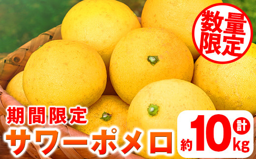 超特価 鹿児島県産サワーポメロ(鹿児島の文旦)の通販お取り寄せ販売