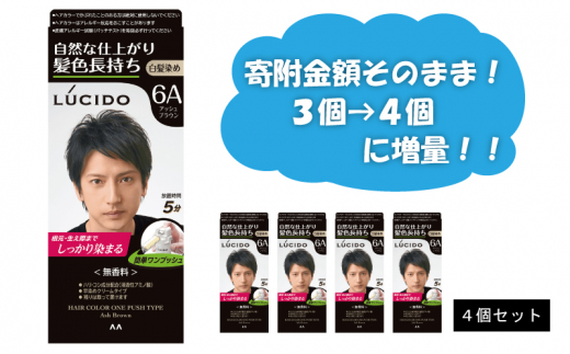 [№5256-0050] マンダム ルシード ワンプッシュケアカラー アッシュブラウン 4個セット MA-15[ LUCIDO 毛染め 白髪  カラーリング 男性化粧品 おしゃれ 日用品 ]
