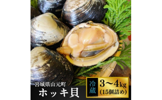 y{錧RzzbLL15(3`4kg){錧Rl`lꂽĂ̑嗱kL͂܂ hgły1479869z