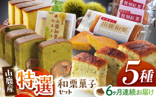 yF{Rszy6ցzaIIَqZbg yЂ񂸁z [ZBT008]