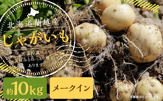 北海道 蘭越産 じゃがいも（メークイン） 約10kg - 北海道蘭越町