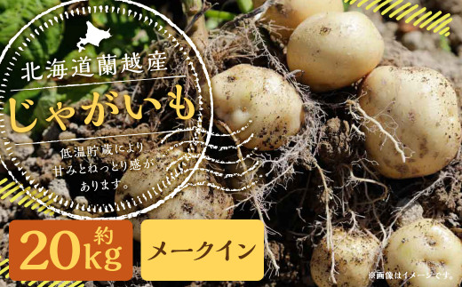 北海道 蘭越産 じゃがいも（メークイン） 約20kg - 北海道蘭越町