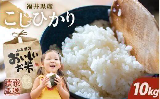 y䌧szyߘa7NYEVāzy10kg×1܁z䌧Y RVqJ10kg `{_܂Rā` y Ђ   10L Iׂ  uh ͂  