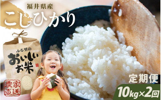 y䌧szyߘa7NYzy_ƒ 2R[Xz{_̂܂RRVqJ 10kg × 2 v20kgiāj [F-8905]