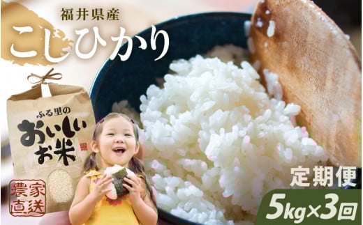 y䌧szyߘa7NYzy_ƒ 3R[Xz{_̂܂RRVqJ 5kg × 3 v15kgiāj [D-8911]