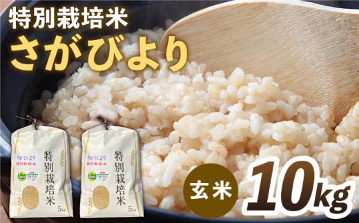 安心・安全な佐賀の米】令和5年産 新米 特別栽培米 さがびより 玄米 10kg【だいちの家】[HAG018] 佐賀県江北町｜ふるさとチョイス  ふるさと納税サイト