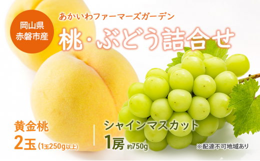 桃 ぶどう 詰合せ 2024年 先行予約 黄金 桃 2玉（1玉250g以上） シャイン マスカット 1房 約750g 岡山県 赤磐市産 フルーツ 果物  あかいわファーマーズガーデン