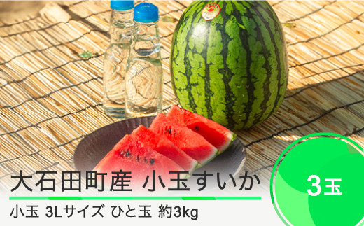 ふるさと納税 山形県 大石田町 令和6年4月上旬発送 つや姫 雪若丸 各5kg 計10kg 精米 令和5年産 令和6年4月上旬 発送 ふるさと納税 山形県 大石田町 令和6年4月上旬発送 つや姫 雪若丸 各5kg 計10kg 精米 令和5年産 令和6年4月上旬 発送