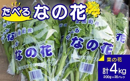 たべる なの花 菜の花200g×20パック なばな 菜花 ナバナ 千葉県 鋸南町 F22X-197