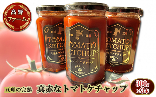 y{錧jzj̊n ^Ԃȃg}gP`bv 300g×3{t@[