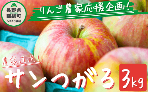 農家応援企画／ 【令和6年度先行予約返礼品】 りんご サンつがる 家庭用 訳あり 3kg 2024年 先行予約 《 つがる リンゴ 林檎 訳アリ  わけあり 不揃い 果物 くだもの フルーツ 長野県産 長野 信州 お試し 》 令和6年度収穫分 2024年8月下旬頃から9月中旬頃まで順次発送予定  ...