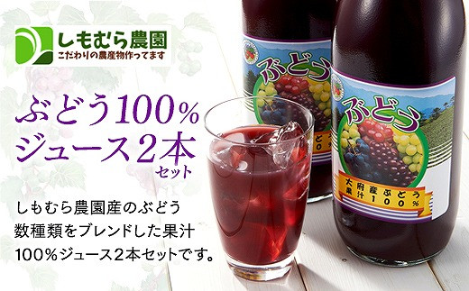 ぶどう100％ジュース2本セット - 愛知県大府市｜ふるさとチョイス
