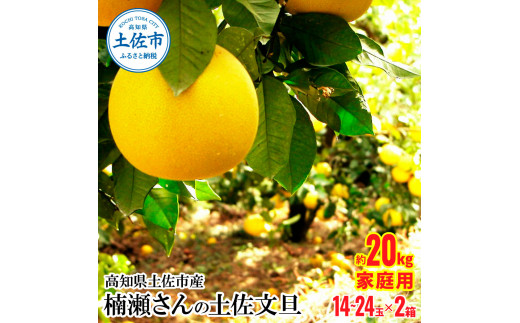 高知県土佐市産 楠瀬さんの土佐文旦 家庭用 約20kg 10kg×2箱 期間限定 高知 土佐 文旦 ぶんたん ブンタン 柑橘 みかん 果物 20キロ  14～24玉 フルーツ 旬 ご自宅用 常温 - 高知県土佐市｜ふるさとチョイス - ふるさと納税サイト