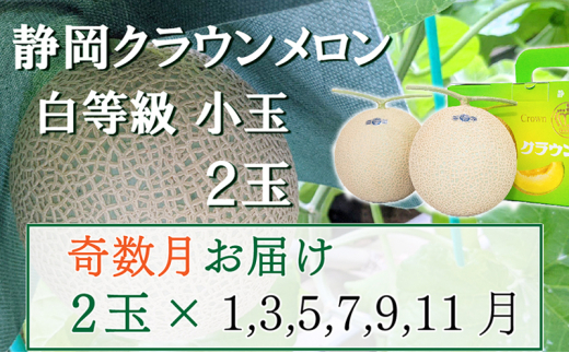 【静岡県袋井市】【奇数定期便】クラウンメロン【並(白等級)】小玉(1.1kg前後)2玉入り