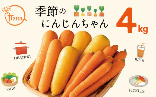 個数限定】にんじん 約4kg『季節のにんじんちゃん』 野菜 人参 H116 
