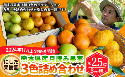 【2024年11月上旬発送開始】にしだ果樹園の熊本県産月読み果実3色詰め合わせ(3品種)