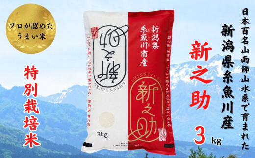 令和6年産新米予約『新之助』3kg 新潟県糸魚川産 特別栽培米 農家直送 100％根知谷産 米・食味鑑定士お墨付き【米 お米 コメ こめ ご飯 ライス  ふるさと納税米 ブランド米 食品 人気 おすすめ ギフト 糸魚川市 白米 減農薬 2024年産 シンノスケ しんのすけ 3キロ 先行予約 ...