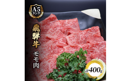 y򕌌rczˋ@XCX@400 [5644-1443]