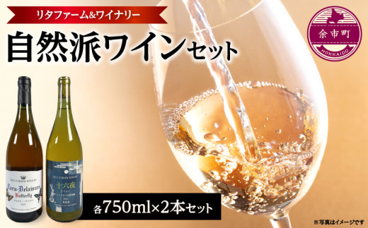 MARIA & SEPP セップムスター 自然派ワイン 2本セット Sauvignon vom Opok 2021 Maria & Sepp Muster / ソーヴィニョン
