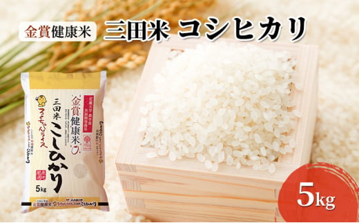 【令和5年度産】金賞健康米 三田米コシヒカリ ５kg [№5337-0266]