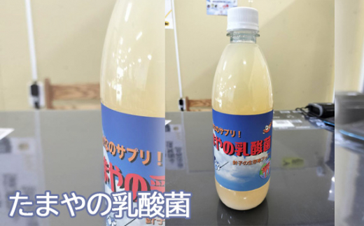 No.096 たまやの乳酸菌 500ml ／ 液体エサ 小型淡水魚用 グッドアクアリウムデザイン賞 東京都 - 東京都羽村市｜ふるさとチョイス -  ふるさと納税サイト