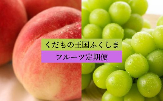 No.2856【2024年発送分】フルーツ2種定期便（桃約5kg、シャインマスカット2房） - 福島県福島市｜ふるさとチョイス - ふるさと納税サイト