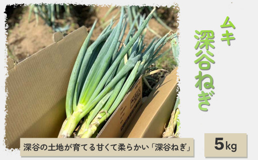 ふるさと納税 手荒く ＜先行受付＞深谷新戒産 深谷ねぎ 5kg 【11218-0381】 埼玉県