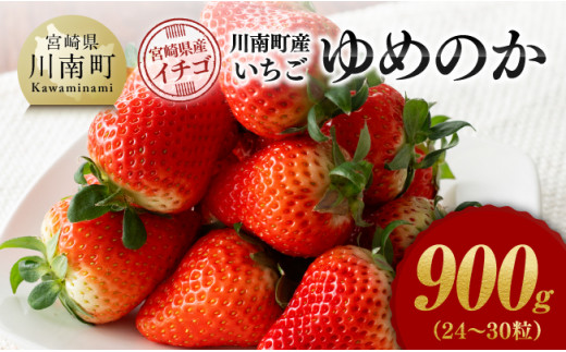 数量限定※《発送月が選べる》宮崎県産いちご「さがほのか」 230g×4