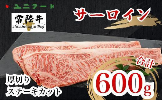 y錧YzUF02  Yuh 헤 T[C  A4 A5N ~ ؂Xe[LJbg 600i300g×2j Ⓚ i   蕨 Mtg