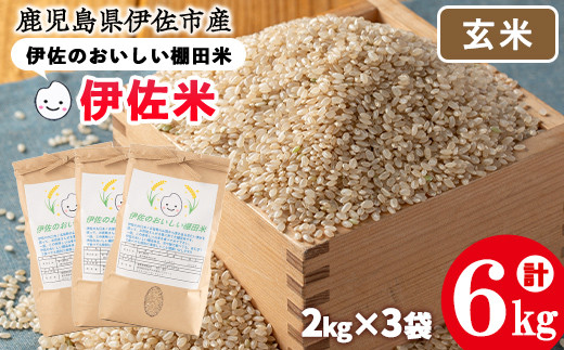 ふるさと納税 isa538 令和5年産 特別栽培米 永池ひのひかり玄米(計30kg