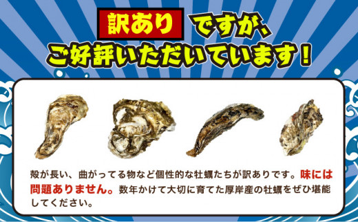 4月～6月配送 訳あり 牡蠣 北海道厚岸産 殻付カキ 約4kg (25～50個