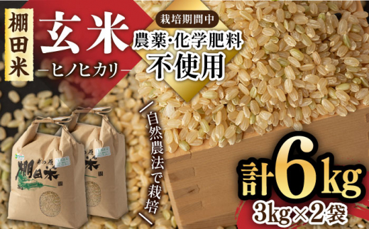 玄米 30キロ】佐賀産2024年収穫 「さがひのひかり」 （【令和6