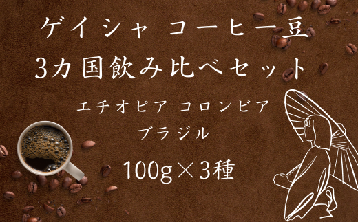 焙煎幸房“そら”】ゲイシャ3カ国飲み比べセット(エチオピア、コロンビア、ブラジル)100g×3袋 - 岐阜県大垣市｜ふるさとチョイス -  ふるさと納税サイト