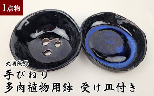 更紗様　琉球*海花のたね 更紗様 琉球*海花のたね