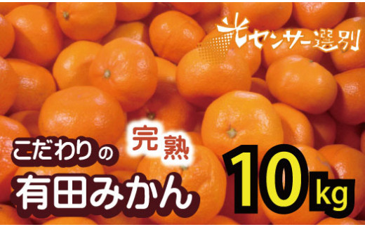 農家直送】＼発送時期が選べる！／【家庭用】こだわりの有田みかん 約